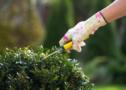 Customer raising a complaint about tree surgery service
