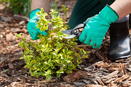SSL encrypted payment gateway for tree surgery bookings