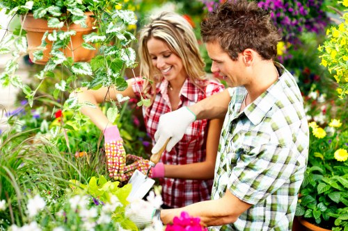 Tree surgery waste being collected and prepared for lawful disposal