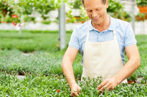 Screen-reader friendly tree surgery information in Redbridge