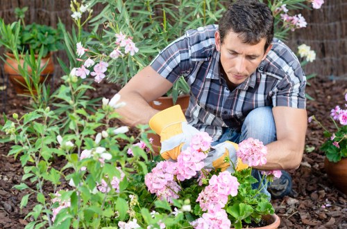 Professional stump removal service for a residential property in Redbridge